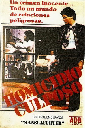Homicidio Culposo