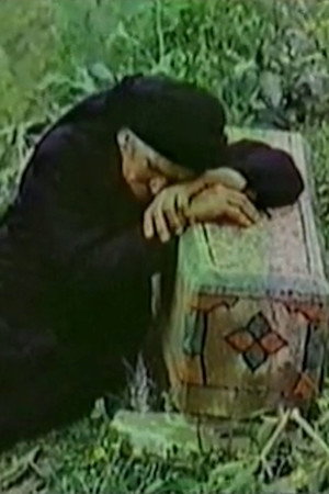 ადგილის დედა