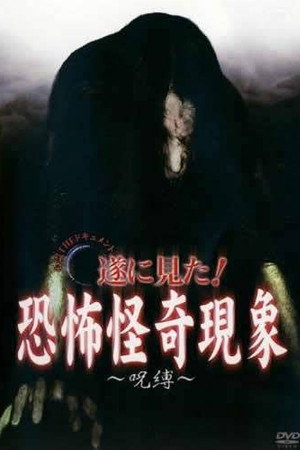 心霊THEドキュメント 遂に見た!恐怖怪奇現象 ~呪縛~