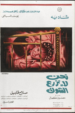 نحن لا نزرع الشوك