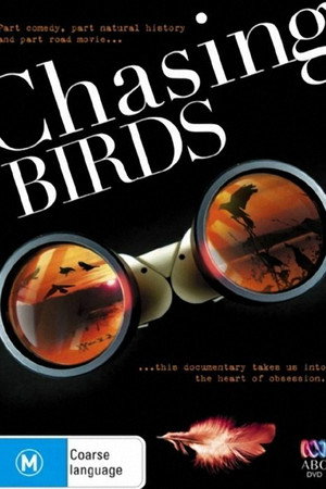 Chasing Birds