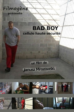 Bad Boy