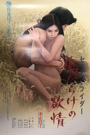 性骑士：受伤的欲望