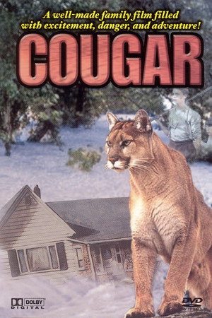 Cougar