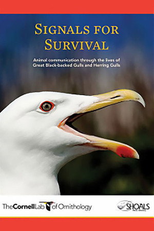 Signals for Survival