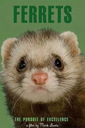 Ferrets