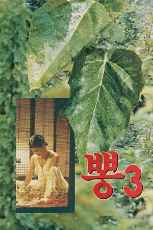 桑树3