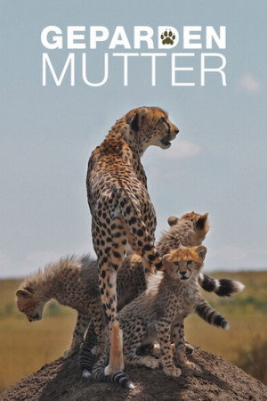 Gepardenmutter