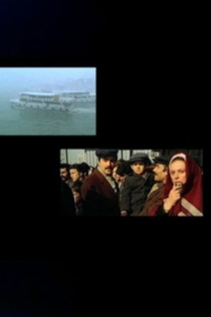 On Translation: Açık Radyo (Myths & Stereotypes)