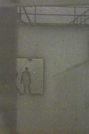Copyright 1980