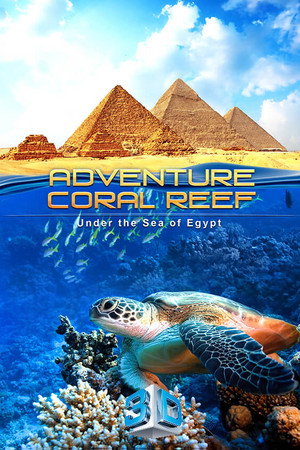 珊瑚礁3D之旅:埃及海底