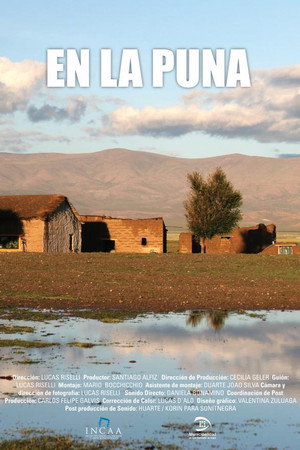 En la Puna