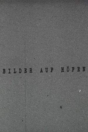 Bilder auf Höfen