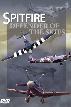 Spitfire: Defender of the Skies