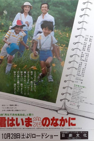 難病「再生不良貧血性」と闘う　君はいま光のなかに