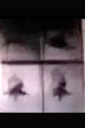 concerning flight