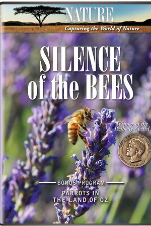 Silence of the Bees