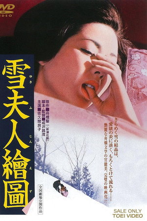 雪夫人绘图