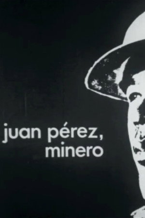 Juan Pérez, Minero