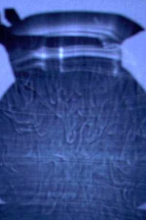 A Teakettle’s Thermal Beings