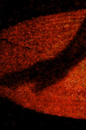 Materia Obscura