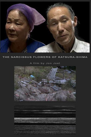The Narcissus Flowers of Katsura-shima