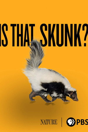 Is That Skunk?