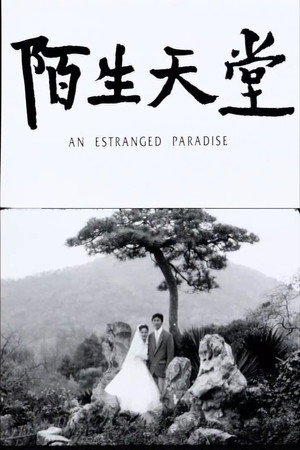 陌生天堂