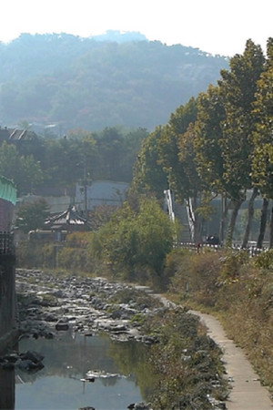 이로 인해 그대는 죽지 않을 것이다