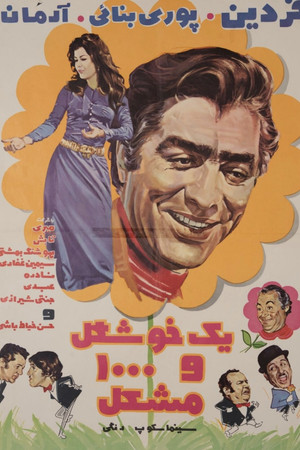 یک خوشگل و هزار مشکل