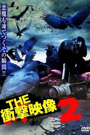 THE 衝撃映像 2