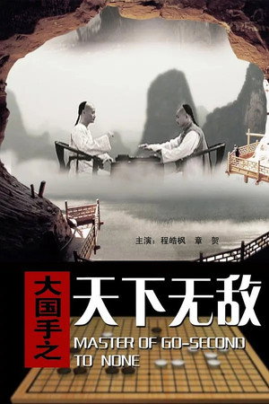 大国手之天下无敌