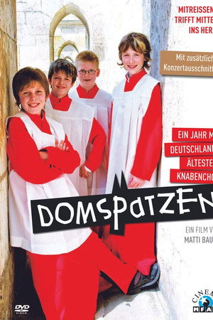 Cathedral Sparrows: A Year with Germany's oldest Boys' Choir
