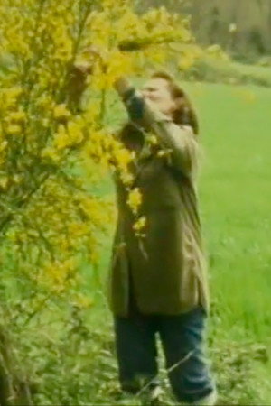 Gisèle Jan-Simon, miroir et fée