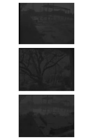 sometimes at night