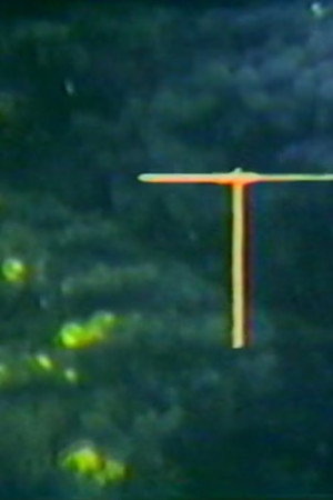 Mobius Film Loop Propellers