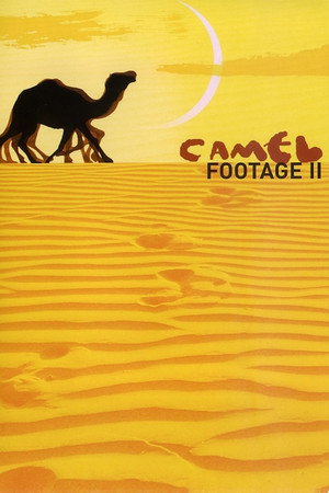 Camel Footage II
