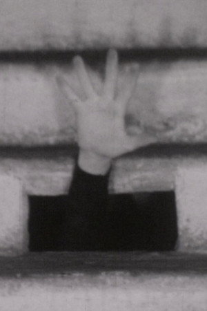 Letture n. 3