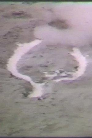 Untitled Silueta
