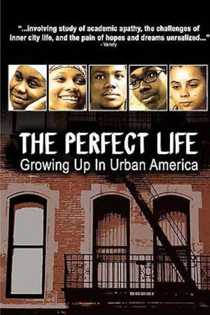 The Perfect Life