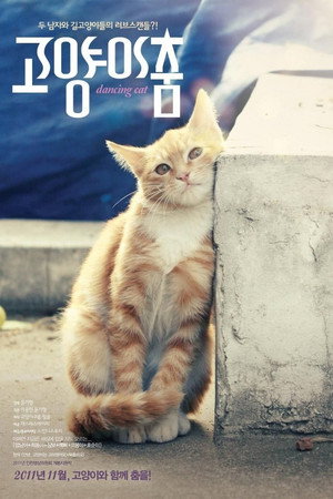 고양이 춤