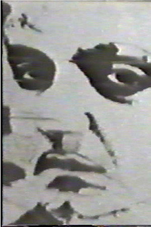 Goffredo