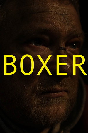 Boxer