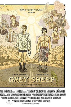 Grey Sheep