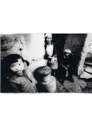 陈小梅进城