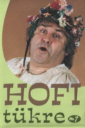 Hofi tükre No.7