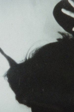 プロローグ・エピローグ