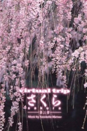 实境之旅:樱花
