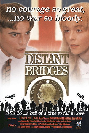 Distant Bridges