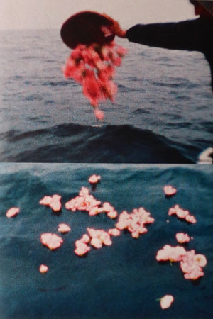 Sea and Flowers